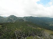 P7310223.JPG