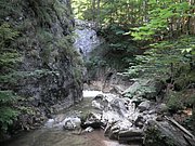 P7310247.JPG