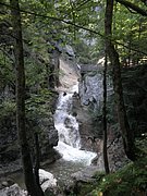 P7310248.JPG