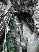 P7310256.JPG