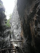 P7310259.JPG
