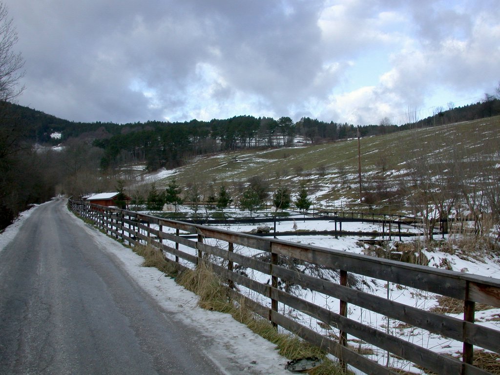 DSCN4149.JPG