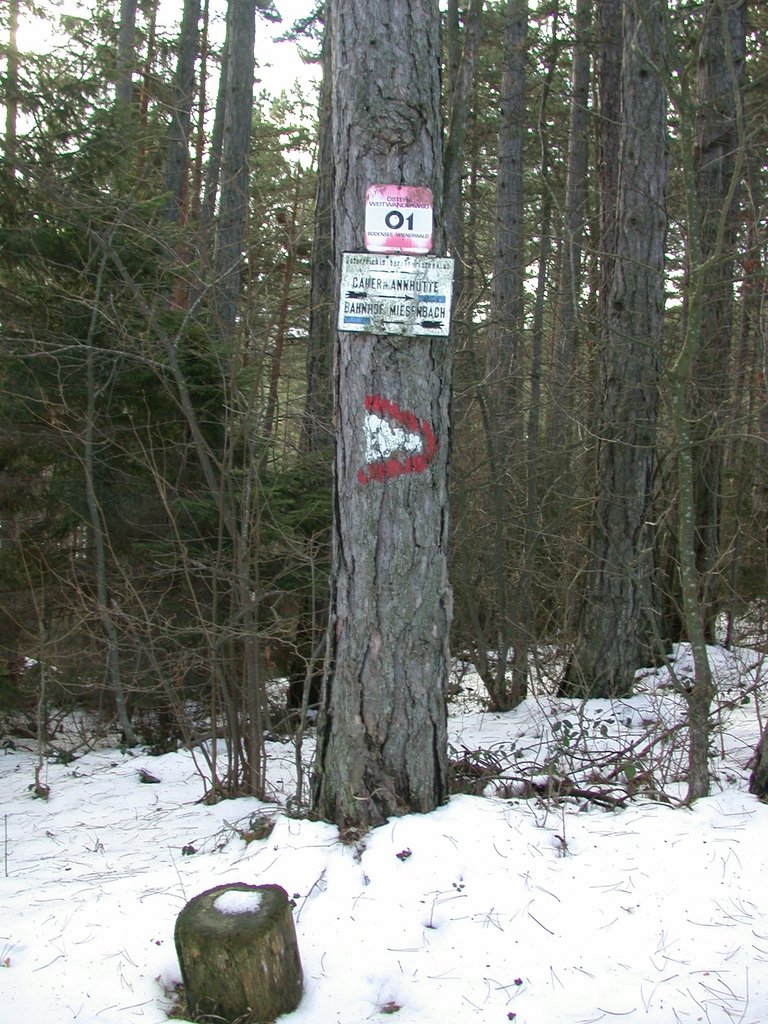 DSCN4152.JPG