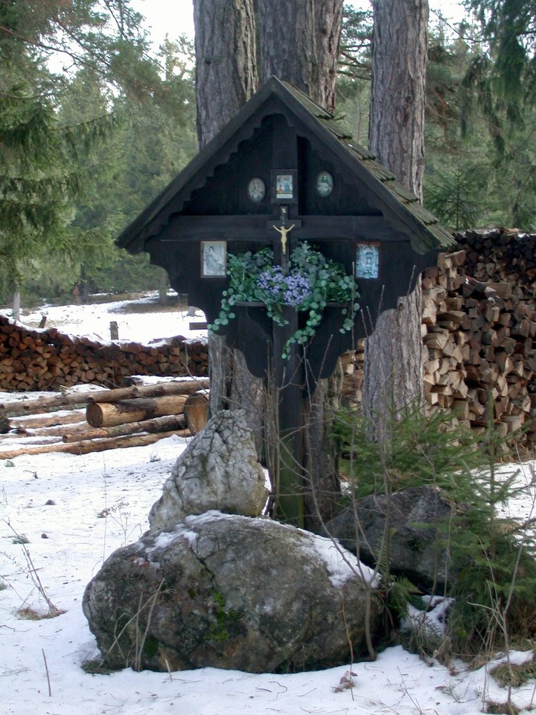 DSCN4153.JPG