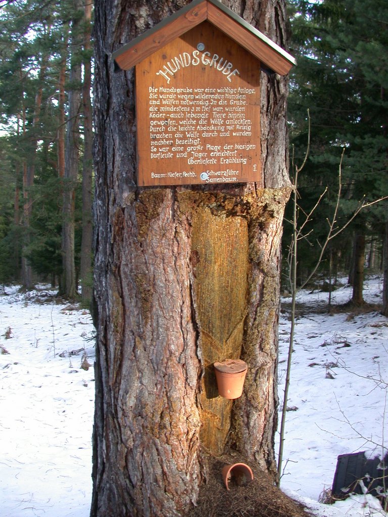 DSCN4154.JPG