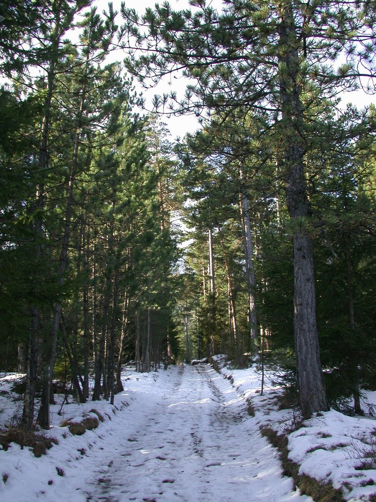 DSCN4156.JPG