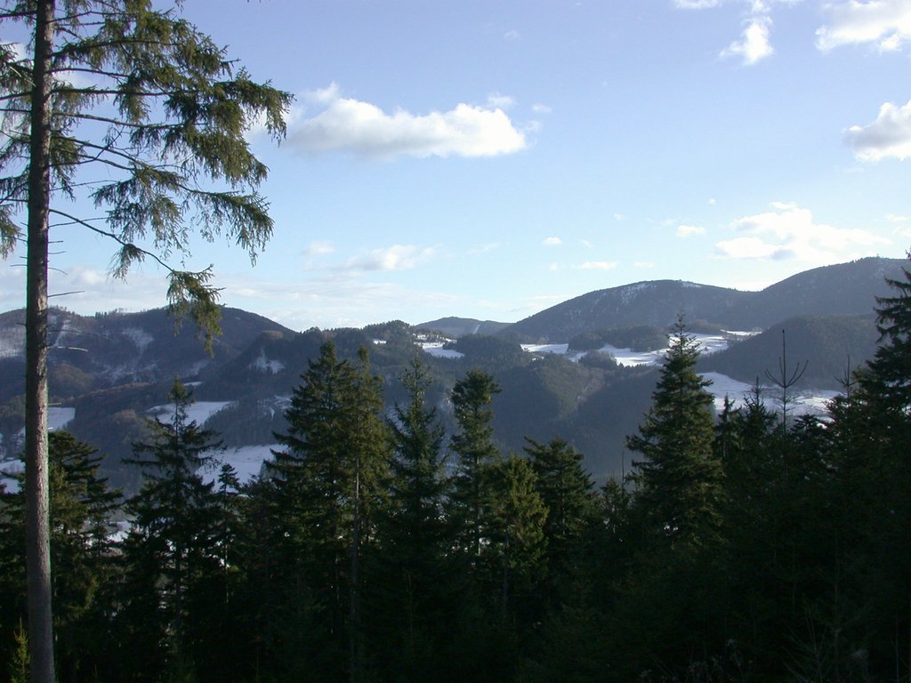 DSCN4159.JPG