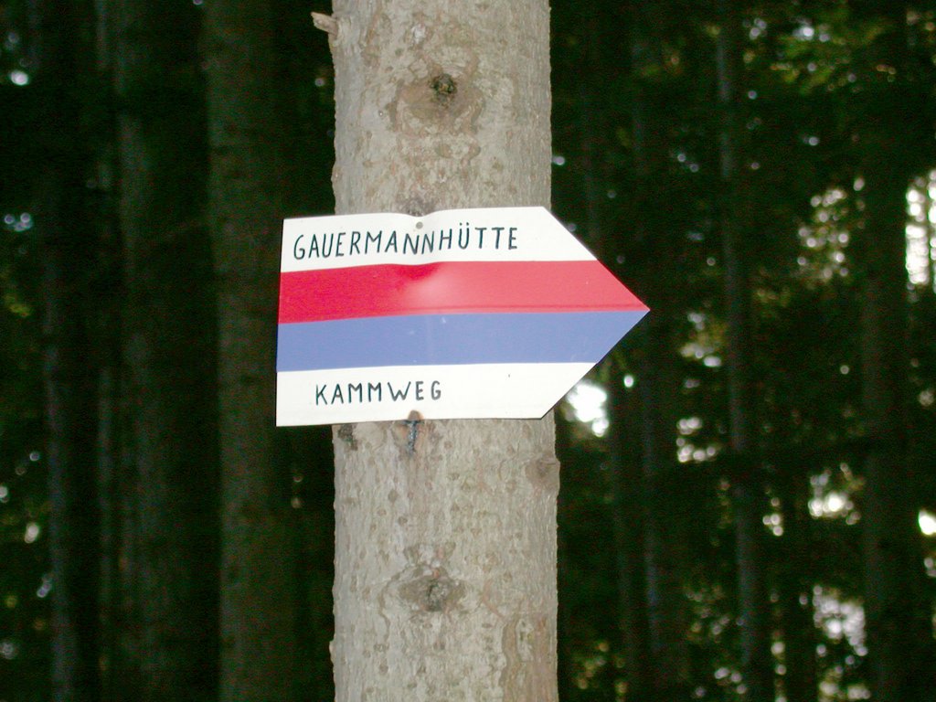 DSCN4161.JPG