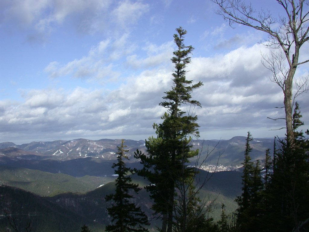 DSCN4185.JPG