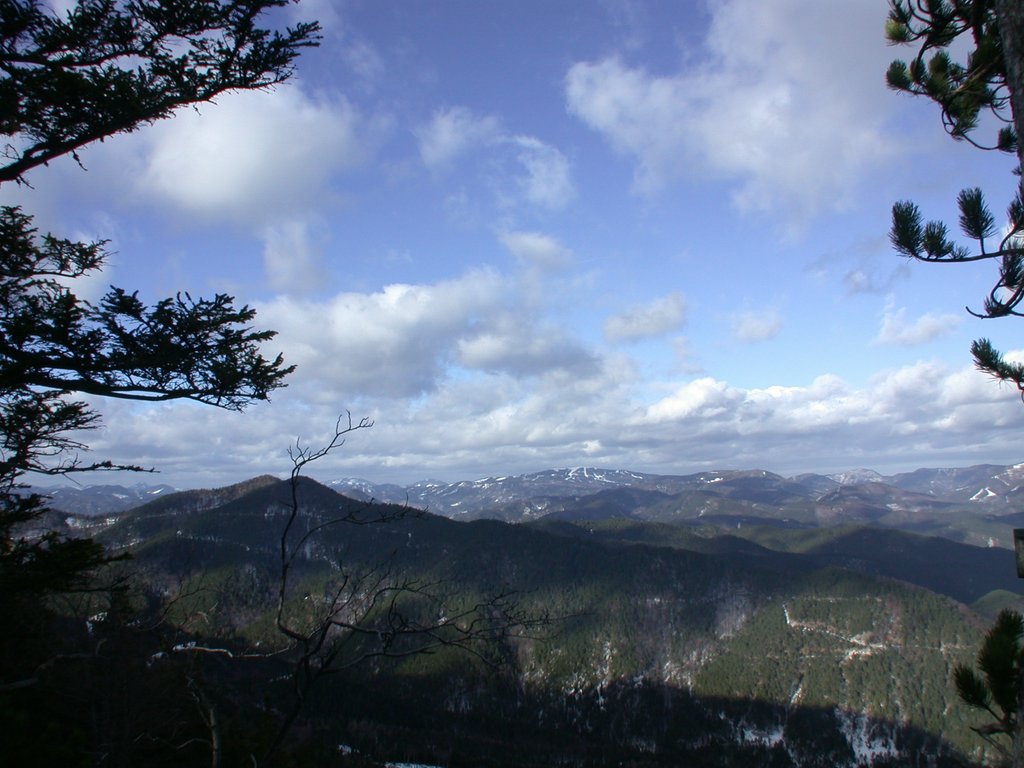 DSCN4189.JPG