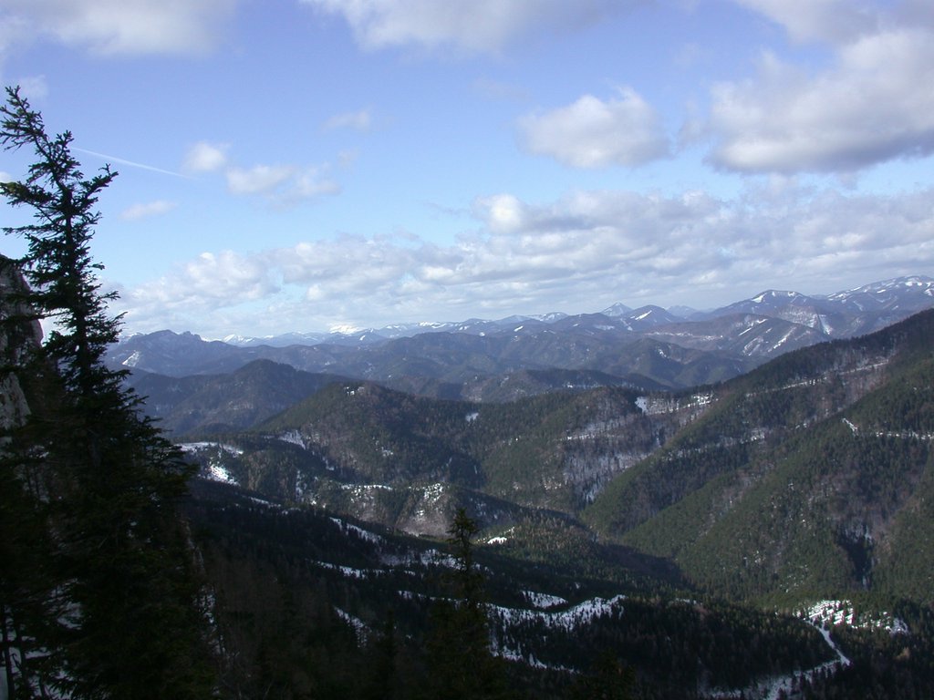 DSCN4198.JPG