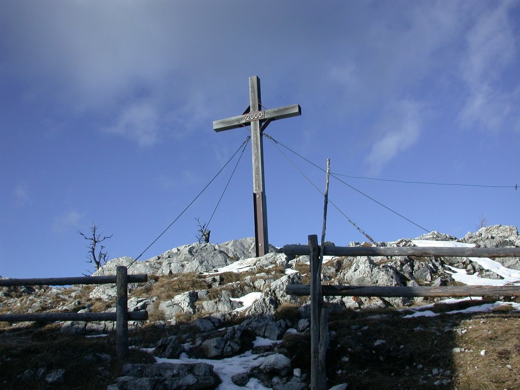 DSCN4203.JPG