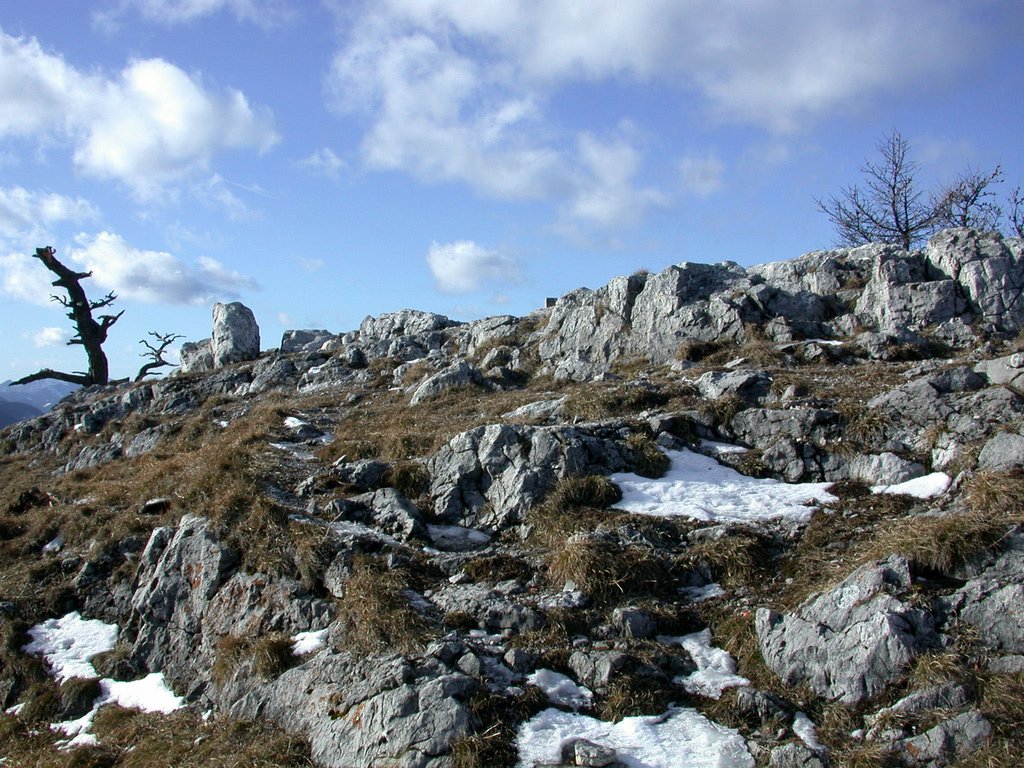 DSCN4208.JPG
