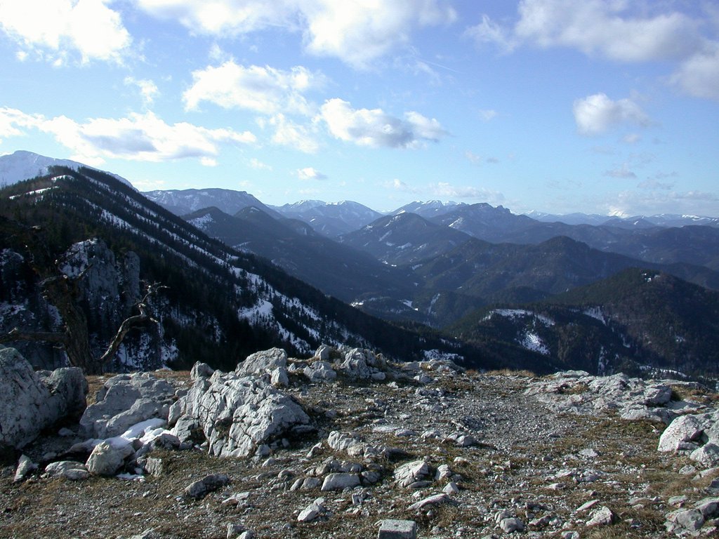 DSCN4209.JPG