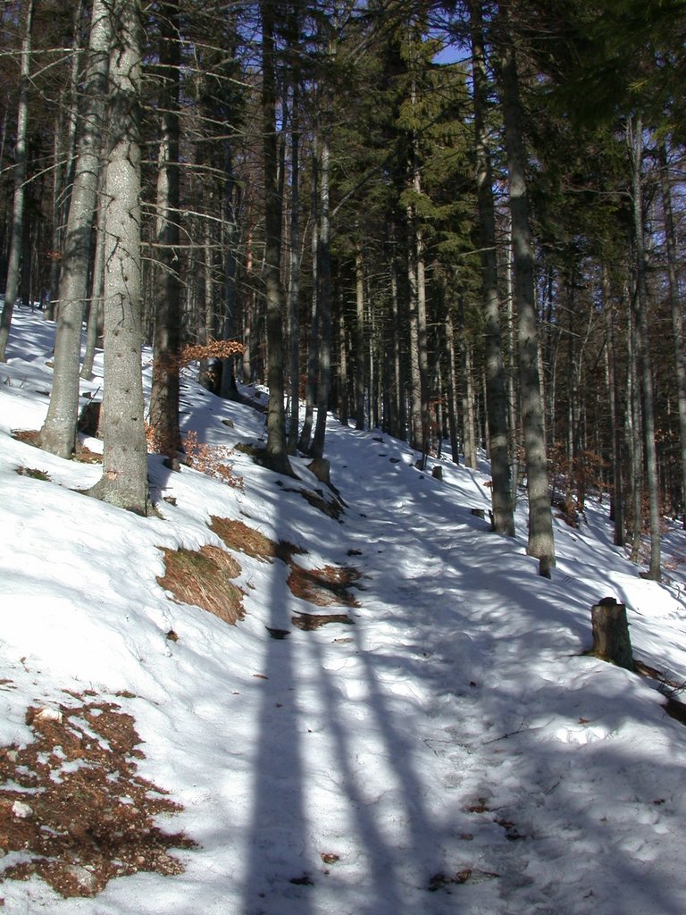 DSCN4214.JPG