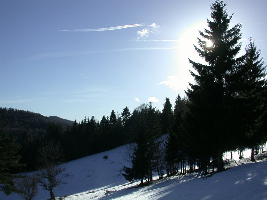 DSCN4215.JPG