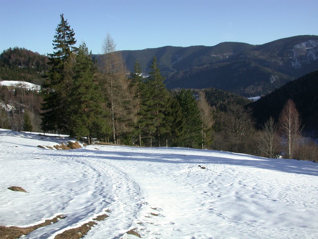 DSCN4216.JPG