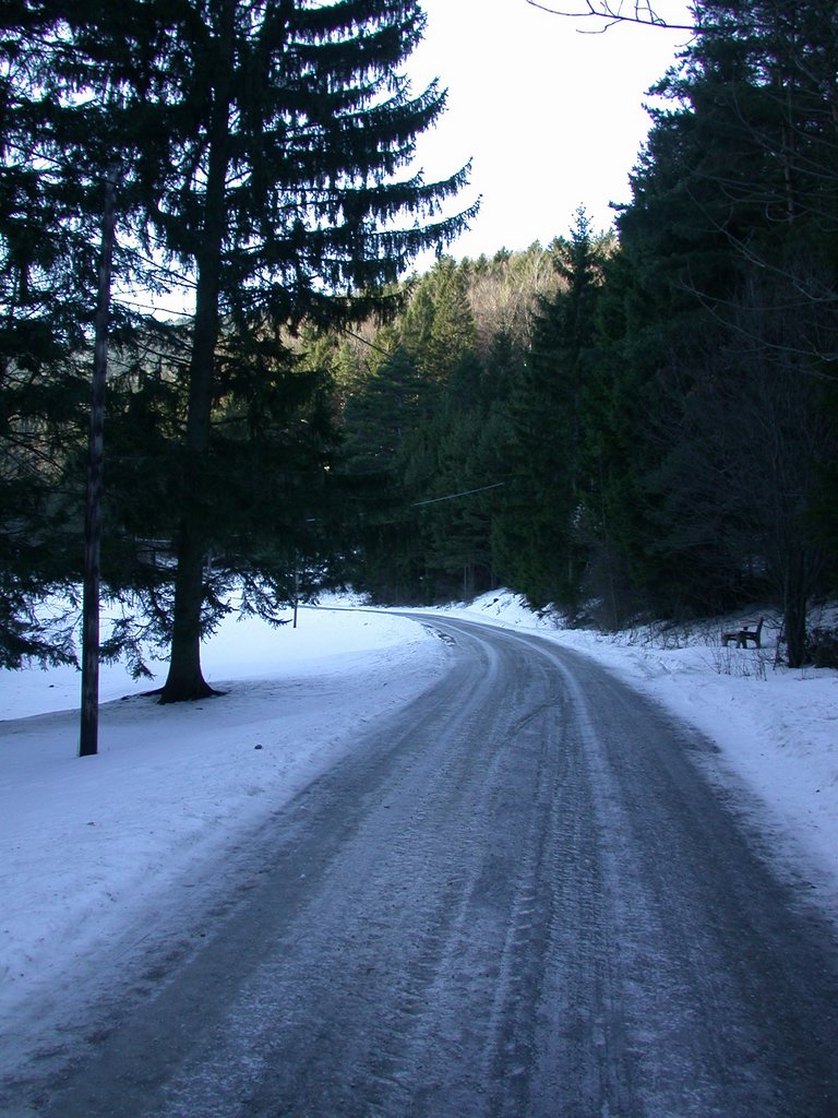 DSCN4220.JPG