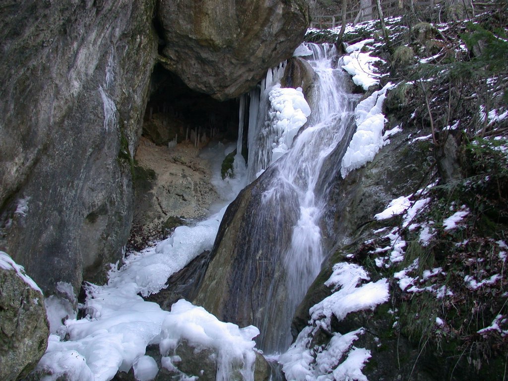 DSCN4227.JPG