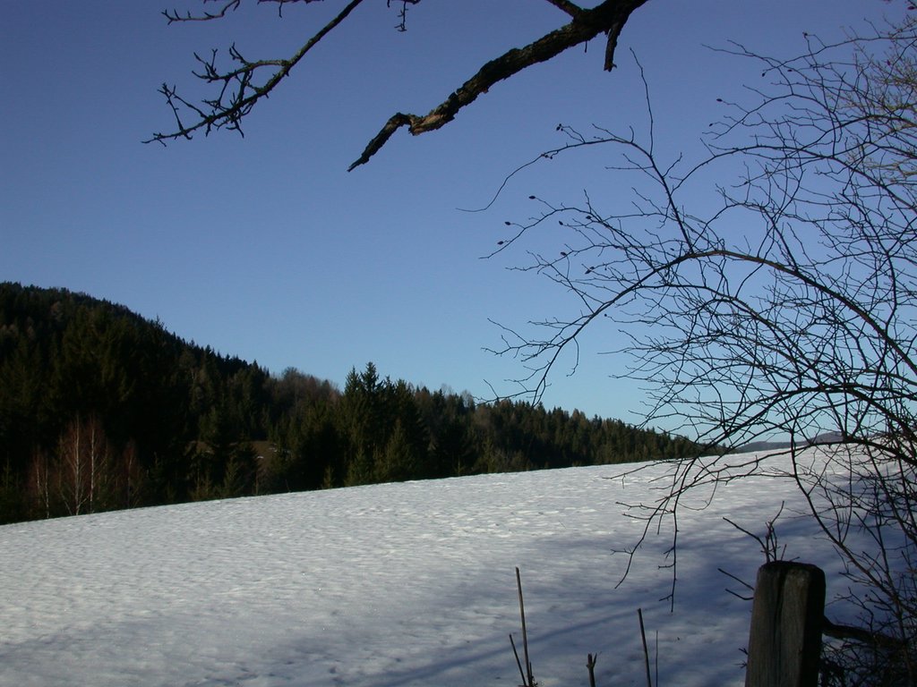 DSCN4232.JPG