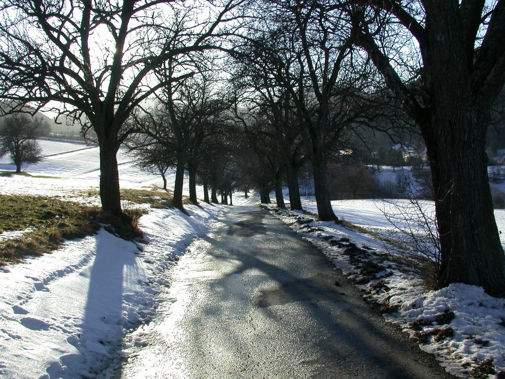 DSCN4233.JPG
