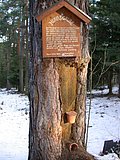 DSCN4154.JPG