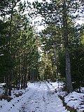 DSCN4156.JPG