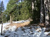 DSCN4163.JPG