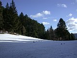 DSCN4165.JPG