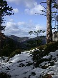 DSCN4170.JPG