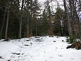 DSCN4178.JPG