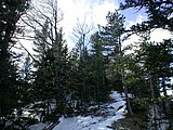 DSCN4193.JPG