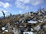 DSCN4208.JPG