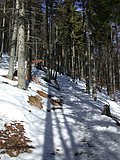 DSCN4214.JPG