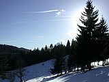 DSCN4215.JPG