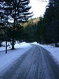 DSCN4220.JPG