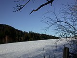 DSCN4232.JPG