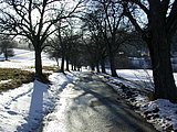 DSCN4233.JPG