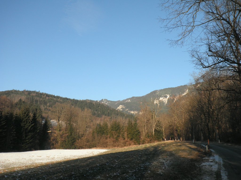 P1050003.JPG