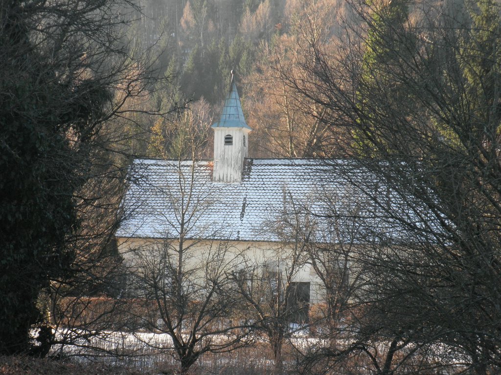 P1050004.JPG