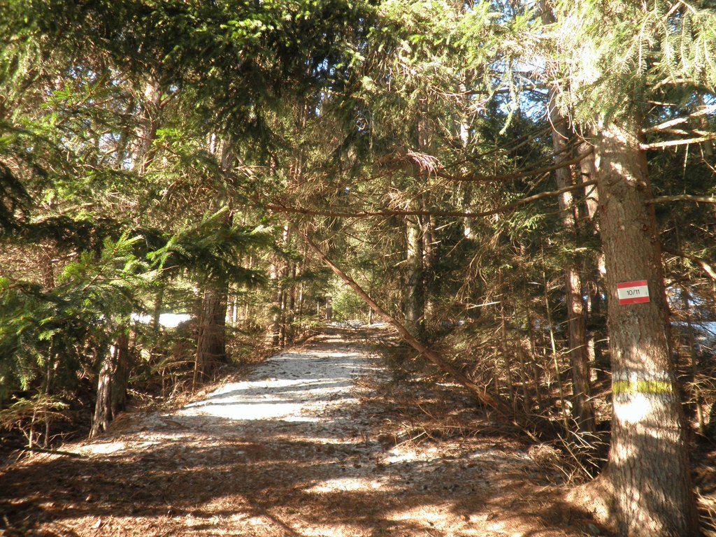 P1050009.JPG