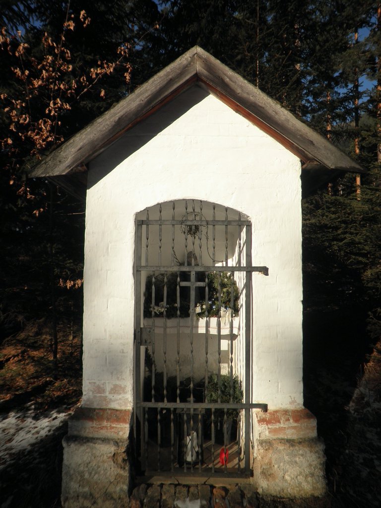 P1050012.JPG
