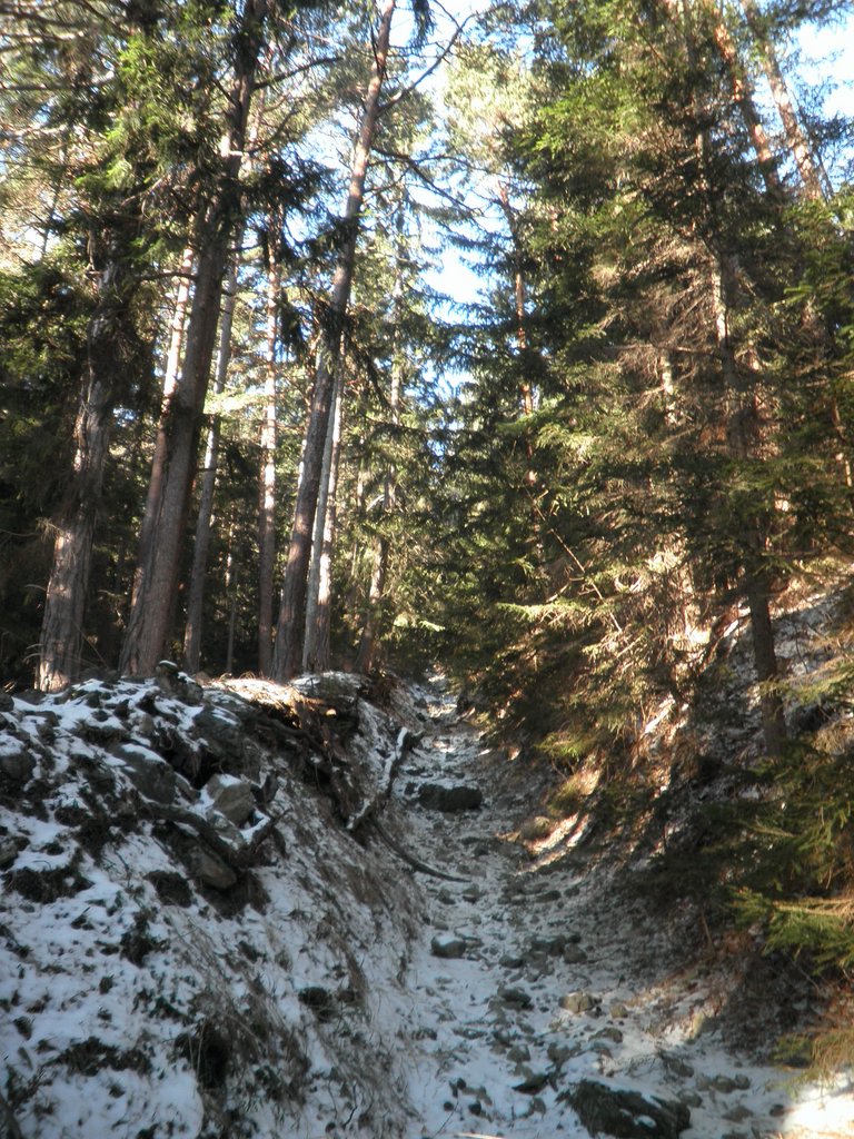 P1050013.JPG