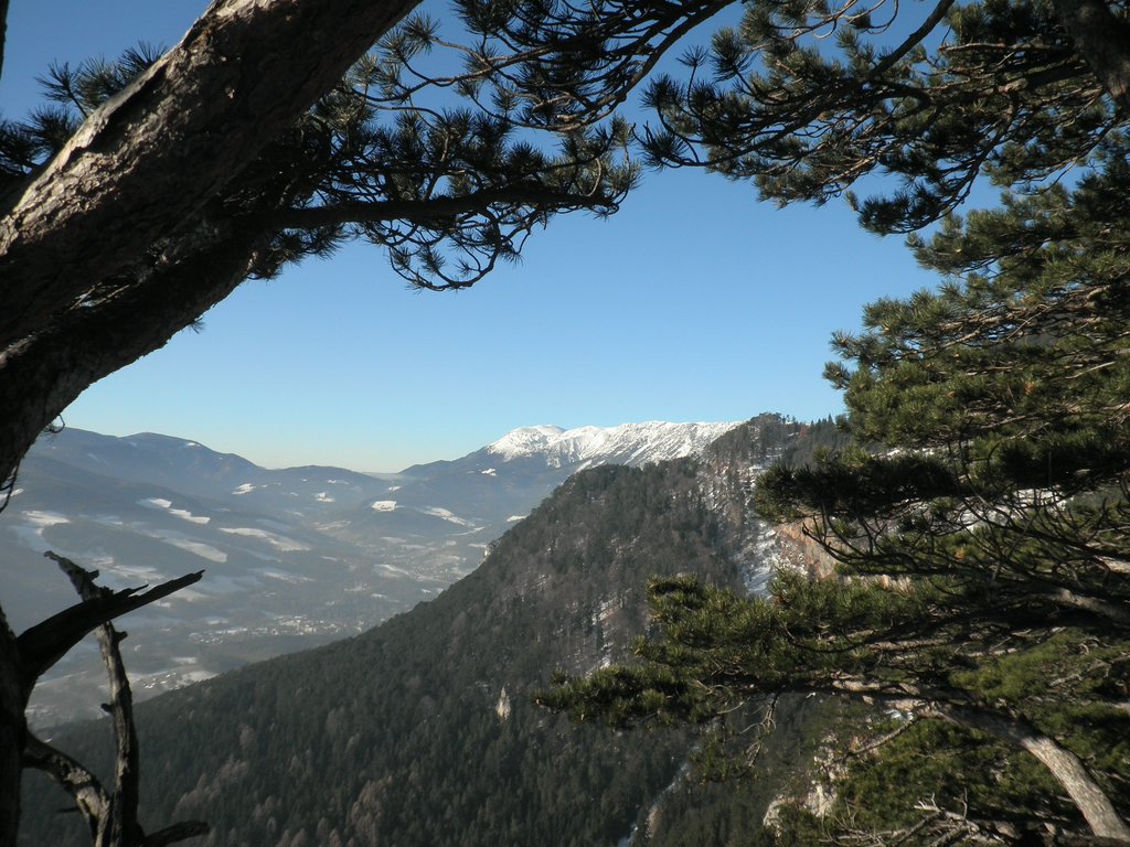 P1050024.JPG