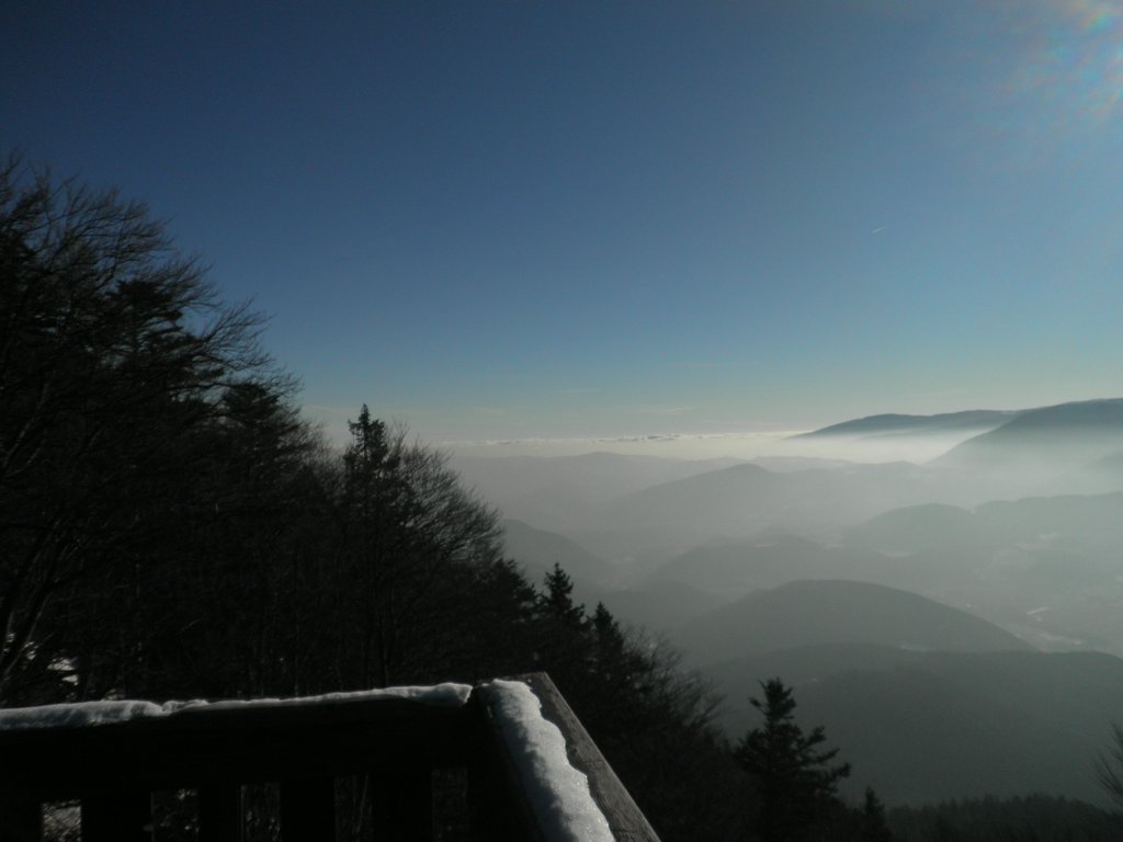 P1050029.JPG