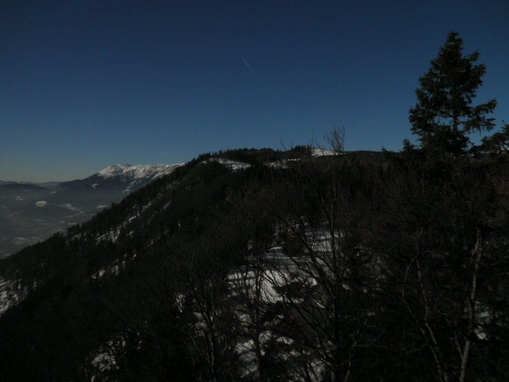 P1050032.JPG