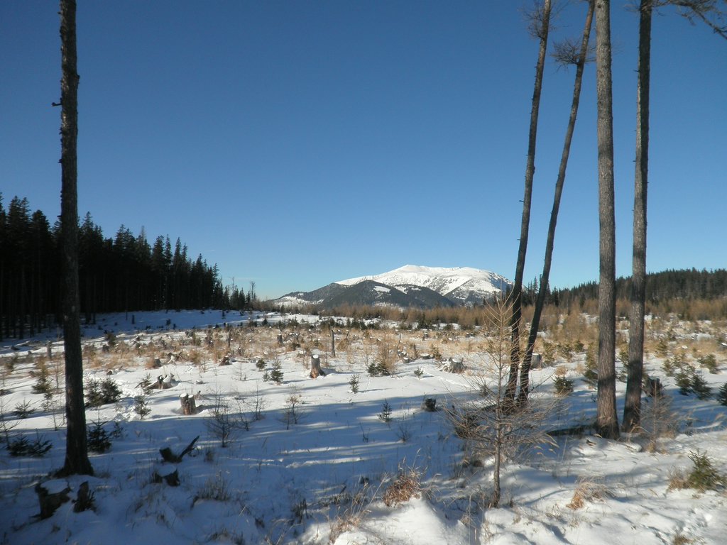 P1050051.JPG