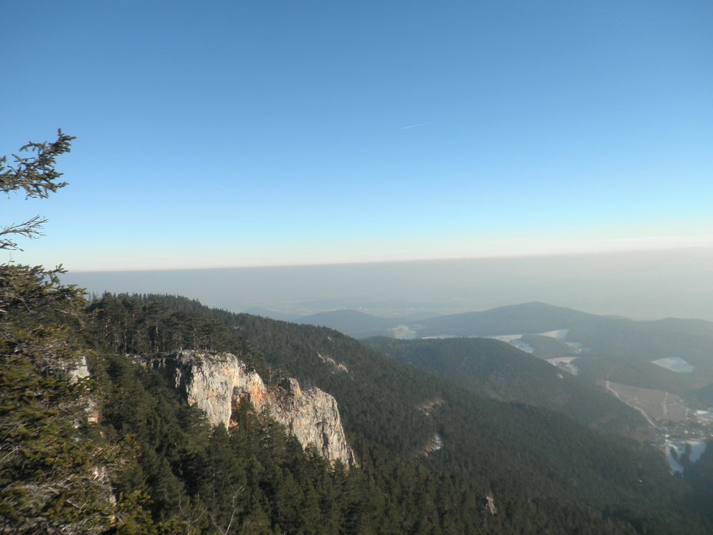 P1050063.JPG