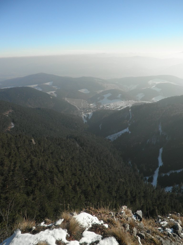 P1050065.JPG