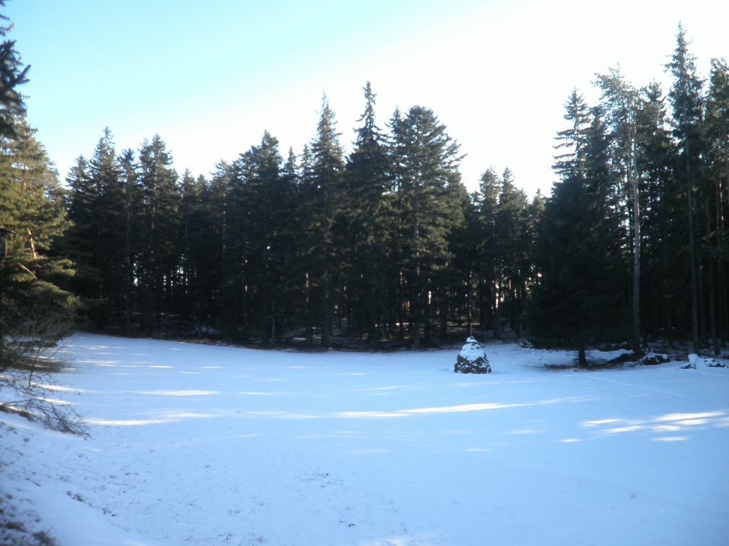 P1050072.JPG